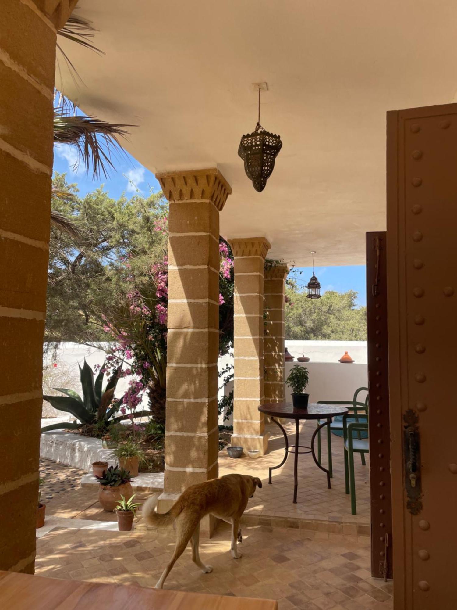 Hotel Villa Soleil Sidi Kaouki Exteriör bild