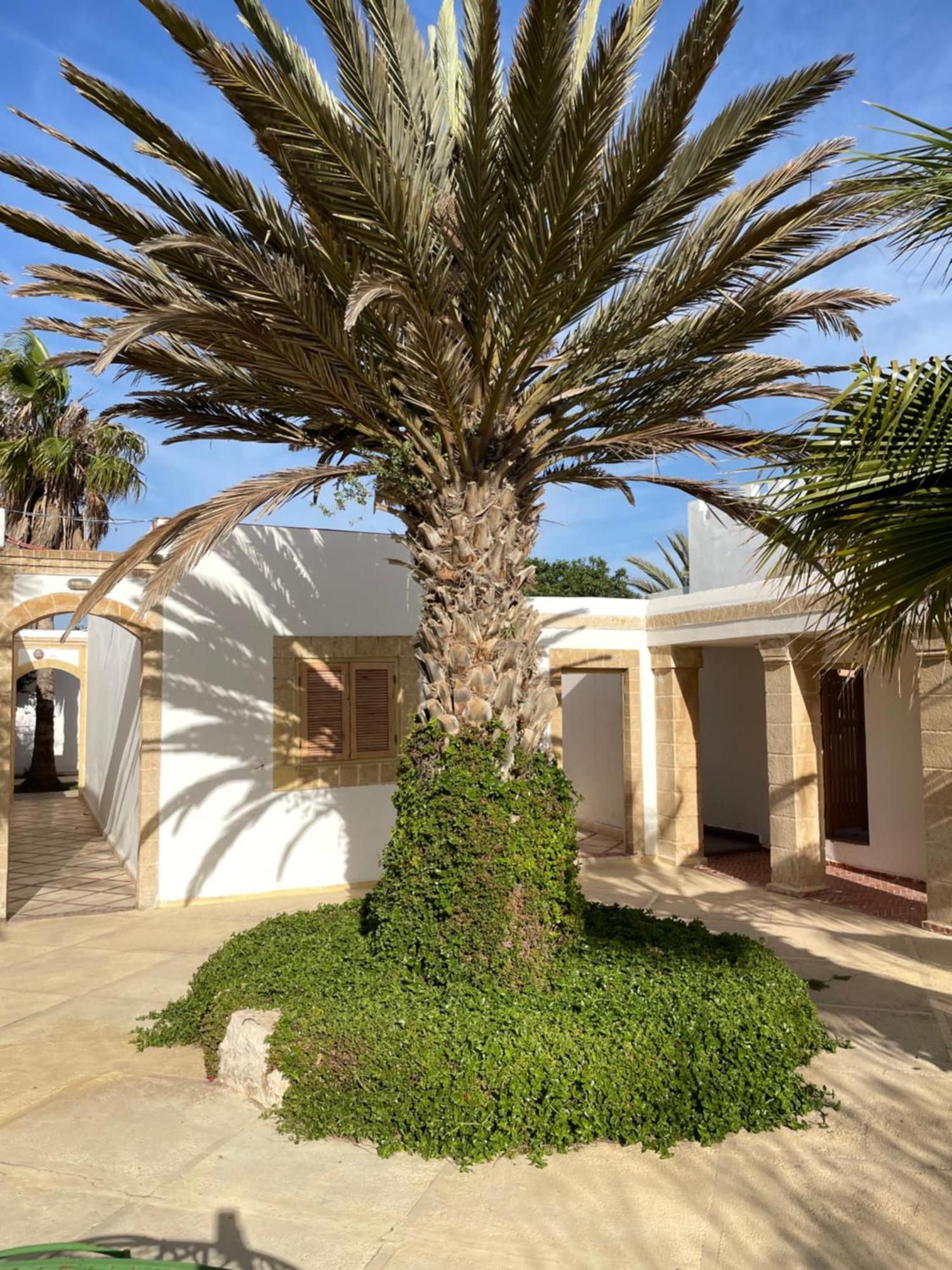 Hotel Villa Soleil Sidi Kaouki Exteriör bild